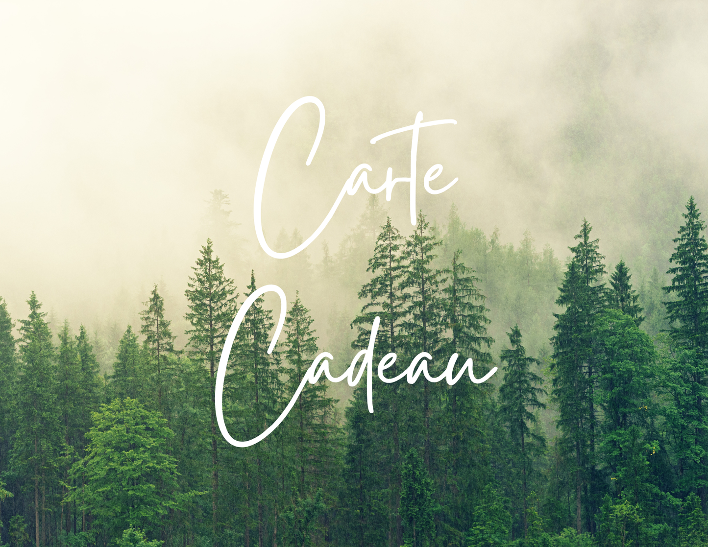 Carte-cadeau Timbertales.ca